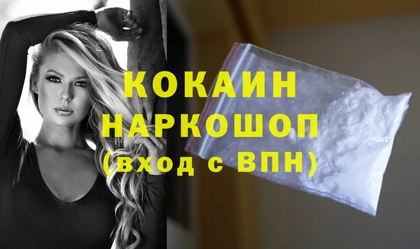 хмурый Магас