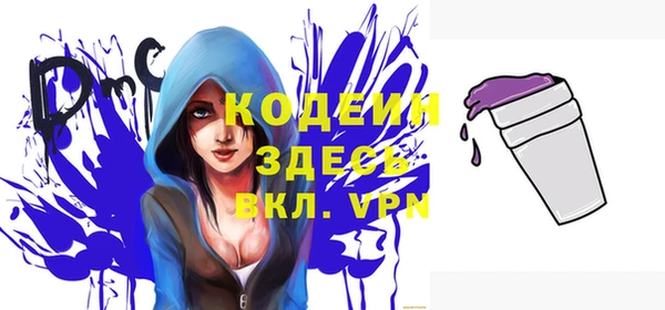 хмурый Магас