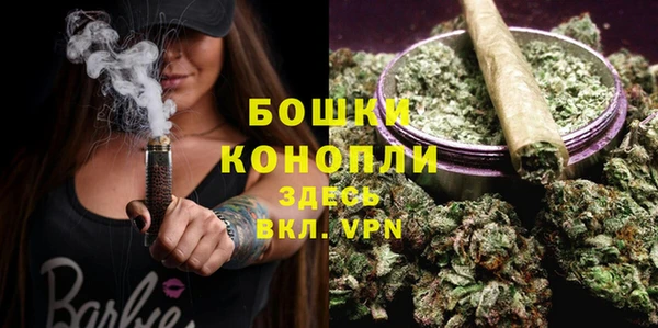 хмурый Магас