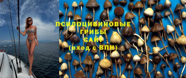 apvp Майский