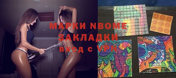 хмурый Магас