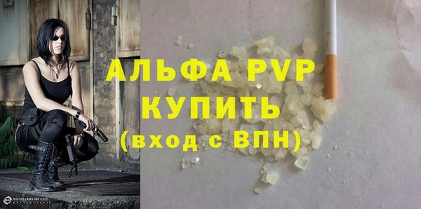 хмурый Магас