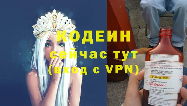 хмурый Магас