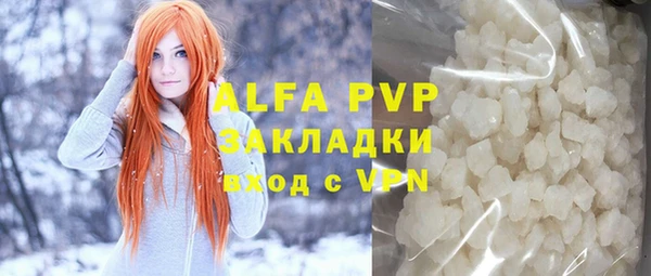хмурый Магас