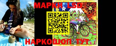 дмт Камышлов