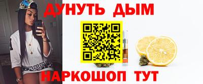 гашик Бийск