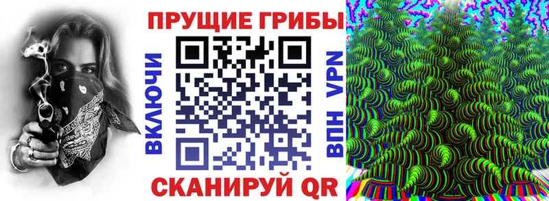 цены наркотик  Острогожск  Галлюциногенные грибы Psilocybe 
