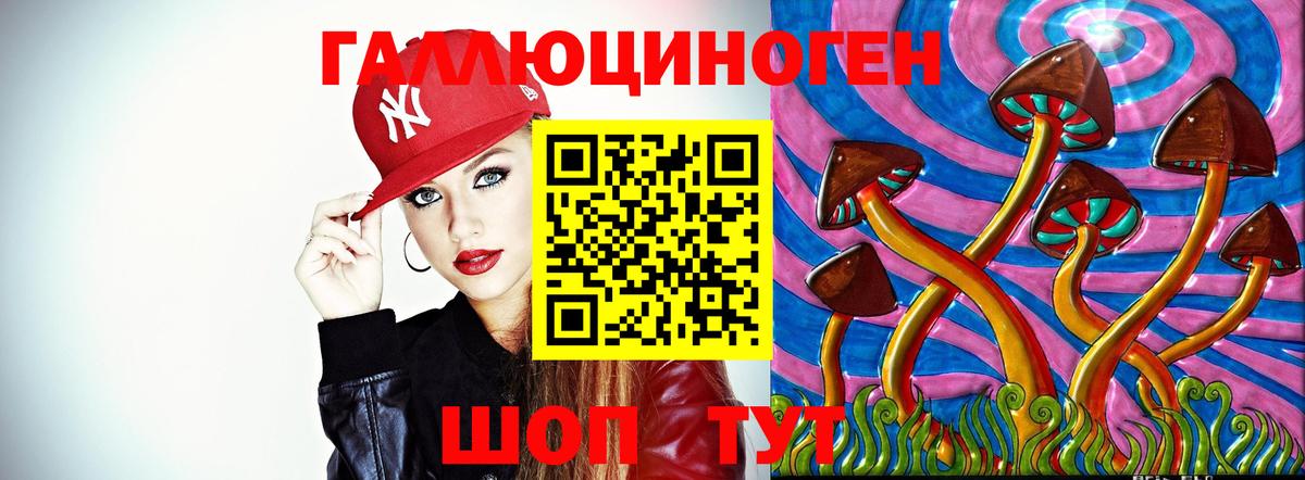 Галлюциногенные грибы Psilocybe  Вход с VPN  Острогожск  Псилоцибиновые грибы GOLDEN TEACHER 