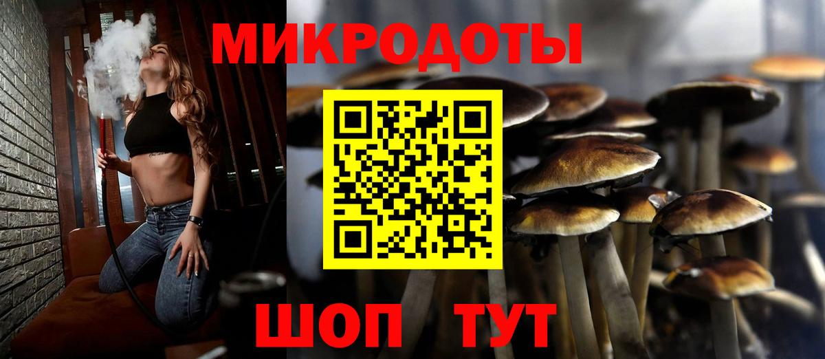 Галлюциногенные грибы Psilocybe Острогожск